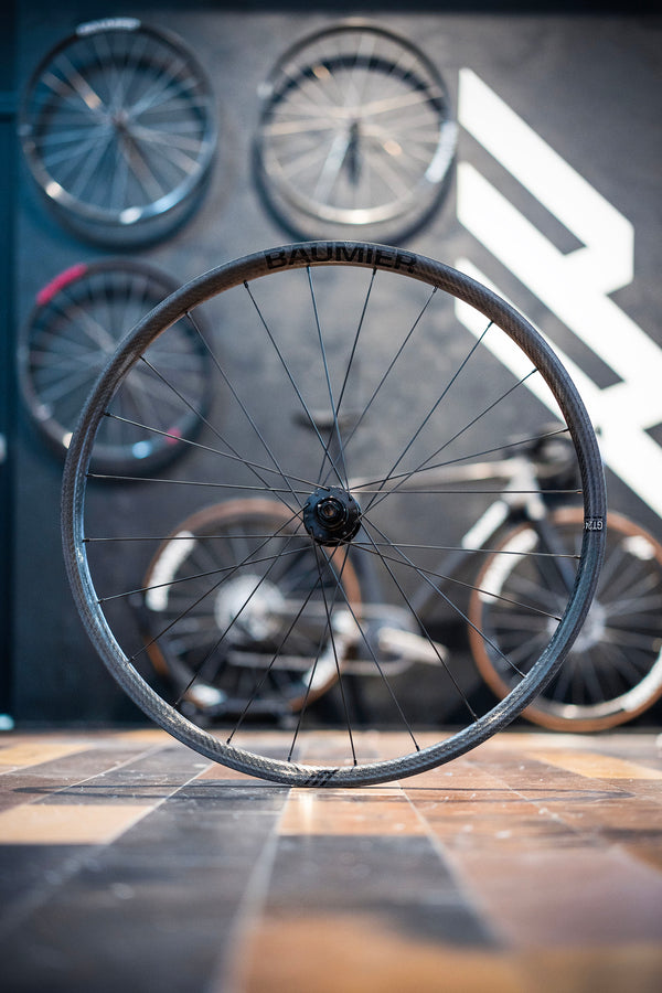 Custom: Baumier GT24 Rims + Project321 RG3 Hubs