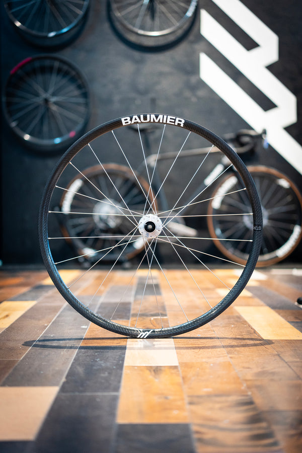 Custom: Baumier GT24 Rims + Project321 RG3 Hubs